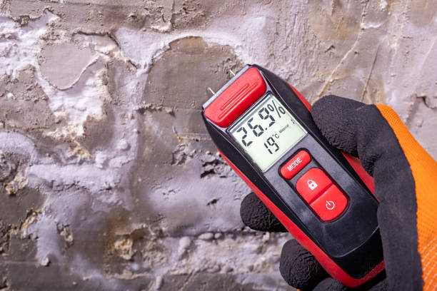Best Mold Testing and Removal  in Macungie, PA