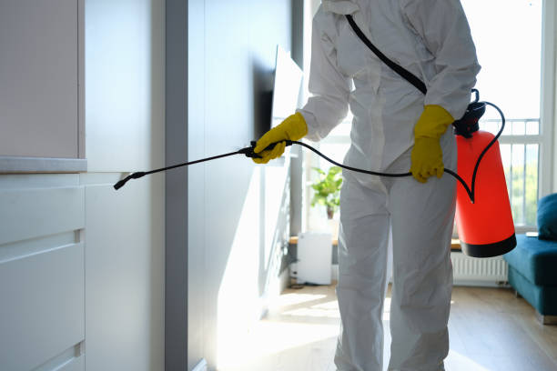 Mold Testing and Removal in Macungie, PA